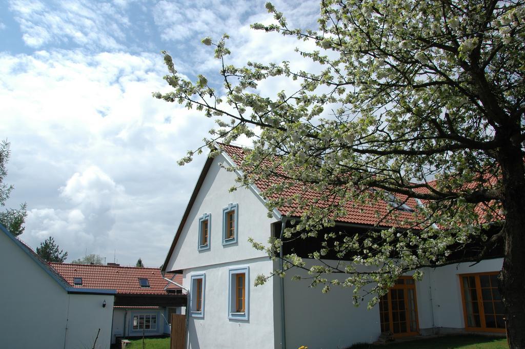 Boretinsky Statek Bagian luar foto